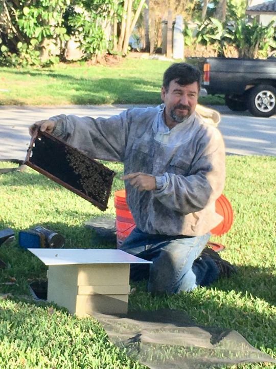 Bill Matanis performing live bee removal in Brevard County, Florida